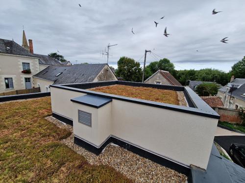 Toiture végétalisée